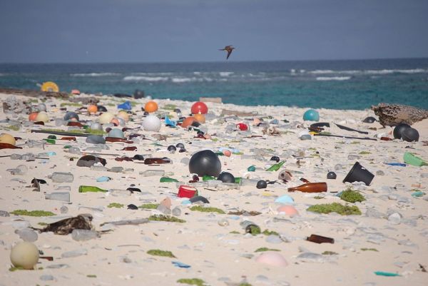 Beach strewn with plastic debris wikimedia commons2