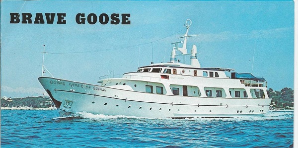 Brave goose 600