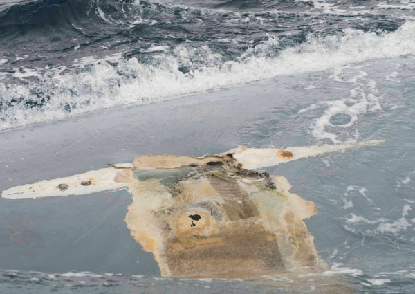 Cheeki Rafikis upturned hull