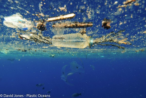 David Jone s Plastic Oceans