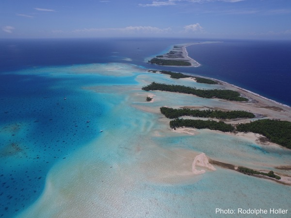 Diving Fakarava Atoll: The Mystery of the Groupers