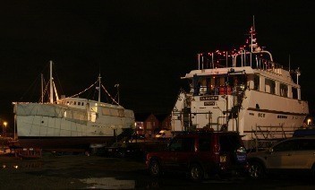 Jellys boat lights 350