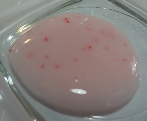 Microbeads pink
