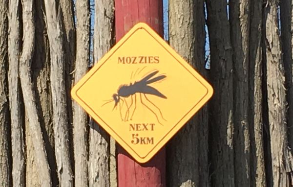 Mozzies 600