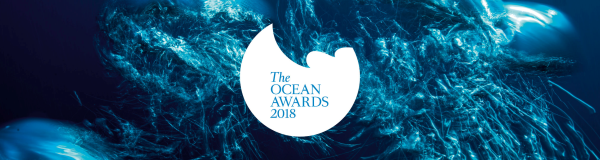 Ocean Awards Boat International 600
