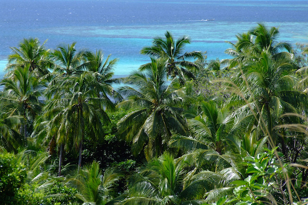 Pacific Fiji
