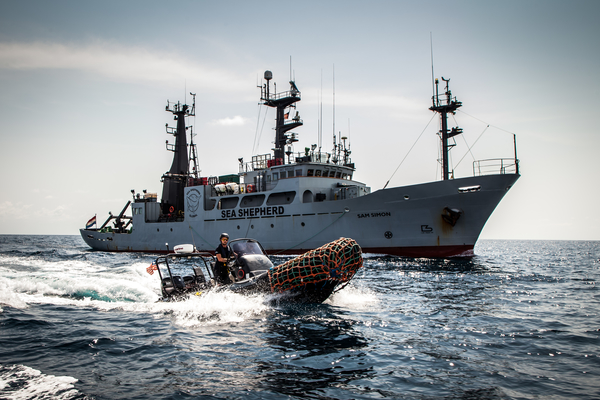 Sea Shepherd France VikingAndSam 01 IMG 1404