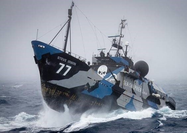 Sea shepherd Steve Irwin