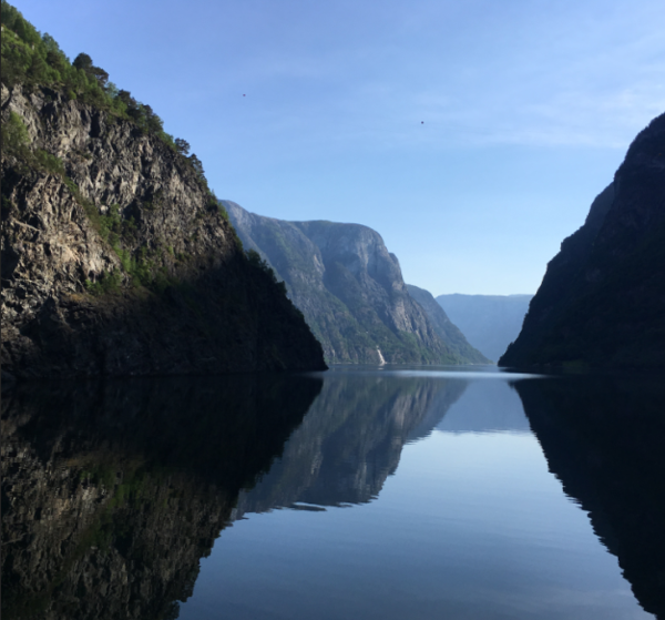 Sognefjord reflections
