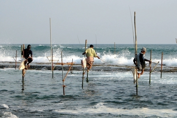 SriLanka stilts fishermen