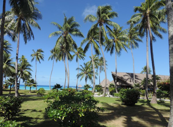 Tahiti KIAORA Sam
