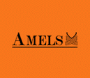 amels logo orange no writing