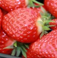 Strawberries 200