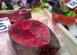 tuna steak spanish