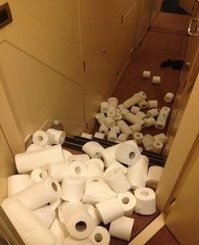 toilet paper avalanche 280 taller