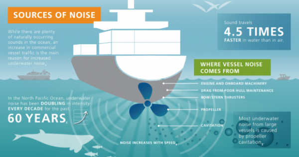 Port of Vancouver ECHO poster Marine Noise Whales