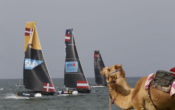 camel and yacht