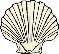 clam pixabay drawing 200