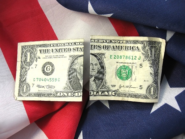 dollar and flag