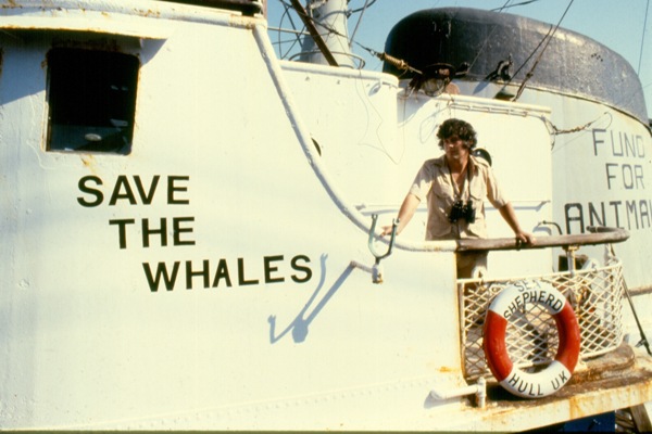 save the whales 600